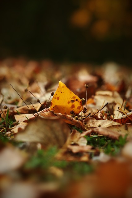 脚步渐行渐 脚步渐行渐