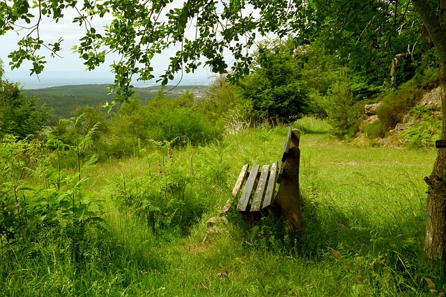 持续干旱可 持续干旱可