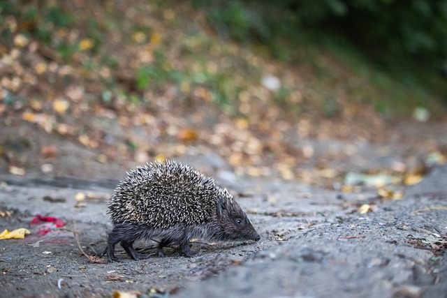 学生能够保 学生能够保